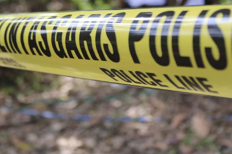 Berita laron Terbaru Hari Ini – Suryamalang.com